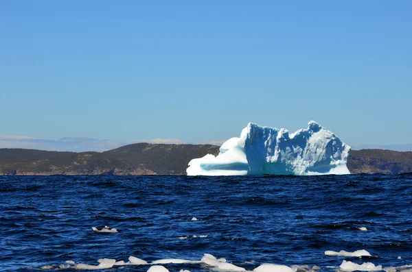 Iceberg Cabo Bonavista Terra Nova Canadá — Fotografia de Stock