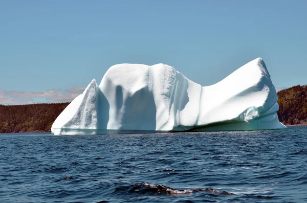 Iceberg Cape Bonavista Newfoundland Canada — Stockfoto