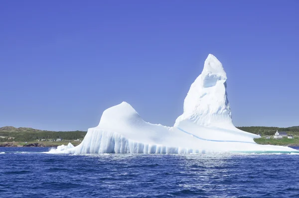 Iceberg Cape Bonavista Terre Neuve Canada — Photo