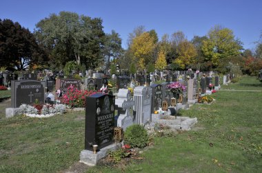 Montreal Kanada 08 Ekim: Notre-Dame-des-Neiges Mezarlığında Renkli sonbahar ağaçları ile birlikte Ekim 08 'de Montreal, Quebec, Kanada