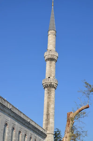 Istanbul Turchia Ottobre Moschea Sultan Ahmed Ottobre 2013 Istanbul Turchia — Foto Stock