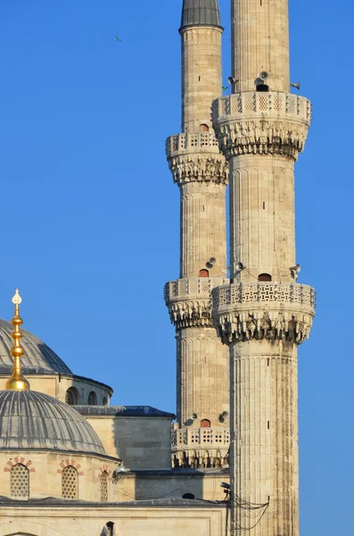 Istanbul Turkey Oktober Sultan Ahmed Moschee Oktober 2013 Istanbul Türkei — Stockfoto