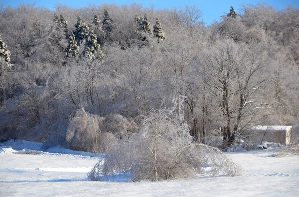 Winter landscape after an ice storm  eastern townships Quebec Canada