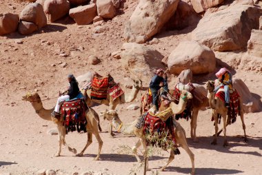 Petra-Ürdün 25 Numara: Kimliği belirsiz adam 25 Kasım 2009 Petra, Ürdün 'de deve gezisi için turist arıyor. Yolculuk 20 jd tuttu. Petra, Nabataean krallığının etkileyici başkentiydi..
