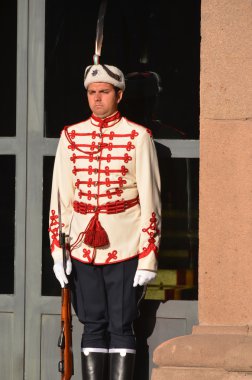 SOFYA 25 Eylül 2013: 25 Eylül 2013 tarihinde Sofya 'da Bulgar cumhuriyetinin başkanlığı önünde Onur Muhafızları. Ulusal Muhafız Birimi, ordu selam töreni için askeri birlikleri de içeriyor..