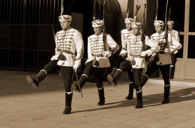 SOFYA 25 Eylül 2013: 25 Eylül 2013 tarihinde Sofya 'da Bulgar cumhuriyetinin başkanlığı önünde Onur Muhafızları. Ulusal Muhafız Birimi, ordu selam töreni için askeri birlikleri de içeriyor..