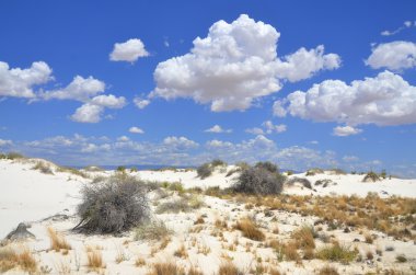New Mexico eyaletindeki White Sands Ulusal Anıtı alçıtaşı kristallerinden oluşan beyaz kum tepecikleri alanıdır. Alçıtaşı kum tarlası Dünya 'daki türünün en büyüğüdür..