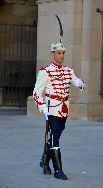 Sofia September Guards Honor Front Presidency Bulgarian Republic September 2013 — Stock Photo, Image