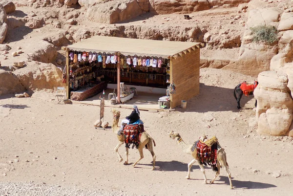 Petra Jordan Listopadu Neznámý Muž Hledá Turisty Pro Jízdu Velbloudech — Stock fotografie