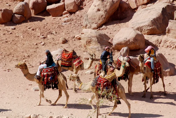 Petra Jordan Nov Непізнана Людина Шукає Туристів Їзди Верблюдах 2009 — стокове фото