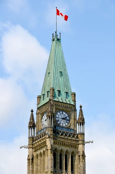 Ottawa Kanada Czerwca Parlament Kanady Jest Federalnym Oddziałem Ustawodawczym Kanady — Zdjęcie stockowe