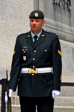 OTTAWA, CANADA - 30 Haziran - Tören Muhafızları, ön planda Meçhul Asker 'in Mezarı bulunan Kanada' nın ulusal anıtı 