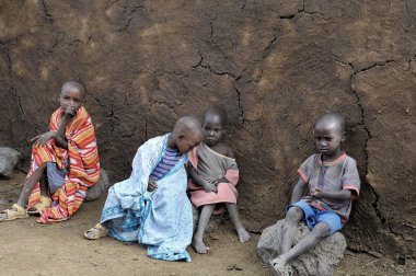 AMBOSELI, KENYA - 13 Ekim 2011 'de Kenya, Masai Mara' da inek gübresi ile evde yaşayan kimliği belirsiz Afrikalı çocuklar.