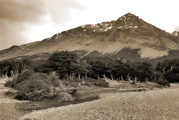 Chalten Liten Bergsby Provinsen Santa Cruz Argentina Med Bas Cerro — Stockfoto