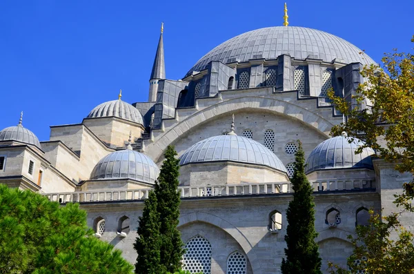 Hagia Cathenbul Istanbul Turkey — стоковое фото