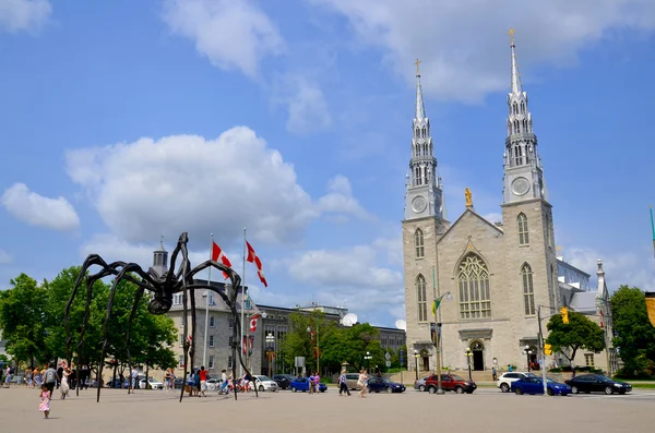 Ottawa Canada Juin Basilique Notre Dame Est Une Basilique Ecclésiastique — Photo
