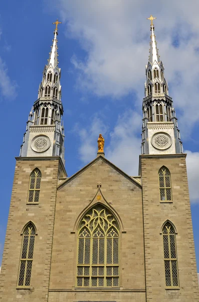 Ottawa Canada Juin Basilique Notre Dame Est Une Basilique Ecclésiastique — Photo