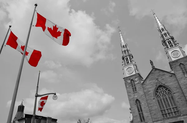 Ottawa Canada Haziran Notre Dame Katedral Bazilikası Kanada Nın Ottawa — Stok fotoğraf