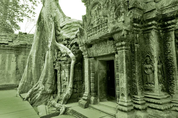 Prohm Современное Название Храма Ангкоре Провинция Сием Рип Камбоджа Первоначально — стоковое фото