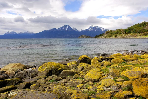 Εθνικό Πάρκο Tierra Del Fuego Είναι Ένα Εθνικό Πάρκο Στο — Φωτογραφία Αρχείου