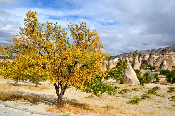 Türkiye Nin Kapadokya Nın Bilinen Özelliği Muhtemelen Kalbinde Goreme Peri — Stok fotoğraf