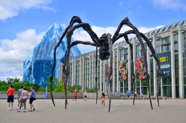 OTTAWA CANADA JUNE 30: Spider sculpture in front the National Gallery of Canada, located in the capital city Ottawa, Ontario, is one of Canada's premier art galleries. On june 30 2013 in Ottawa Canada