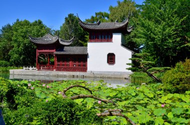 MONTREAL CANADA JUNE 9: Montreal's botanical garden is considered to be one of the most important botanical gardens in the world due to the extent of its collections. On june 9 2013 in Montreal Canada