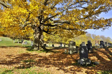 IRON HILL QUEBEC CANADA 10 07 2016: Holy Trinity cemetery. This cemetery is found beside the Holy Trinity Church, in the churchyard, which is in the a small and pretty town of Iron Hill 