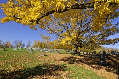 IRON HILL QUEBEC CANADA 10 07 2016: Holy Trinity cemetery. This cemetery is found beside the Holy Trinity Church, in the churchyard, which is in the a small and pretty town of Iron Hill 