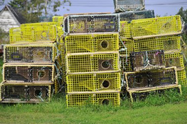 Gaspesie 'deki iki yüzyıllık destansı balıkçılık tarihine tanık olan Banc-de-Peche-de-Paspebiac Tarihi Sitesi' nde 11 olağanüstü dönem binası yer alıyor.. 