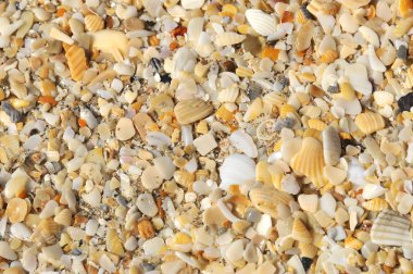 Sand on the beach background:Close up,select focus with shallow depth of field:ideal use for background.