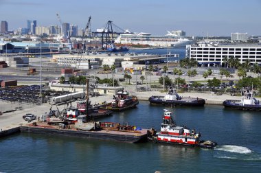 FORT LAUDERDALE FLORIDA UNITED STATES 11 02 2012: Port Everglades is one of South Florida's foremost economic centers, as it is the gateway for both international trade and cruise vacations
