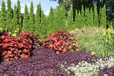 Parlak renkli çiçek fidanlığı tamamen çiçek açmış.