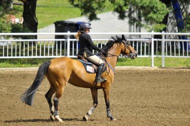 BROMONT-CANADA JULY 25: Unknown rider on a horse during 2012, INTERNATIONAL BROMONT on July 25, 2012 At the Equestrian 1976 Montreal Olympic Park.