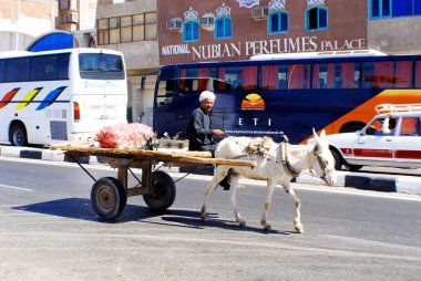 Kahire - Mısır 19 Kasım: 19 Kasım 2009 'da Mısır' da bir eşek tarafından çekilen at arabasındaki fakir adam malına değer veriyor. Mısır 'daki 85 milyon insanın neredeyse yüzde 25' i yoksulluk içinde yaşıyor.,