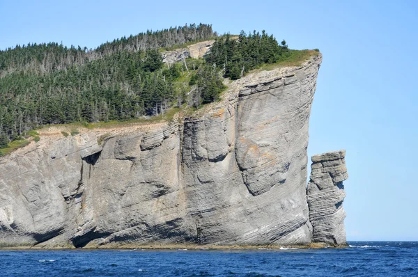 加拿大魁北克加斯佩西地区海滨悬崖 — 图库照片