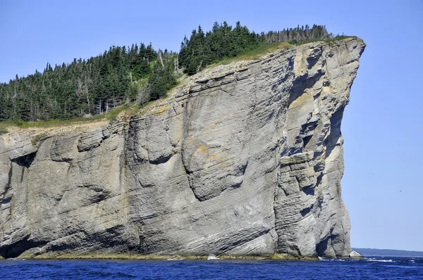 Gaspesie Bölgesi Kıyı Kayalığı Quebec Kanada — Stok fotoğraf