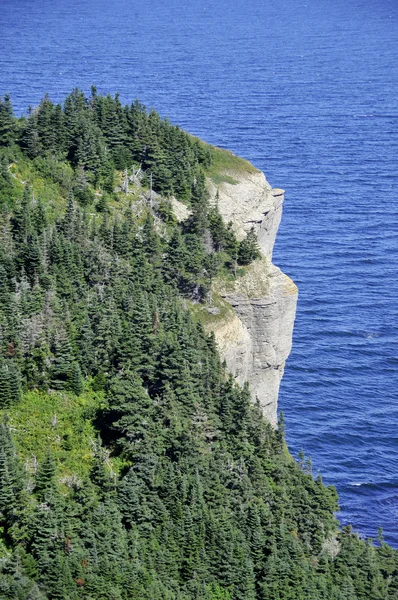 Скалы Национального Парка Форийон Квебек Канада — стоковое фото