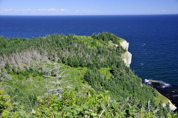 Acantilados Del Parque Nacional Forillon Quebec Canadá —  Fotos de Stock