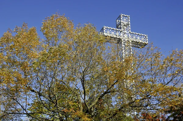 Croix Mont Royal Est Monument Situé Sommet Mont Royal Montréal — Photo