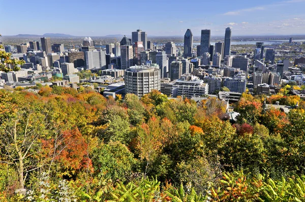 Montreal Octubre Vista Ciudad Desde Monte Real Kondiaronk Belvedere Octubre — Foto de Stock