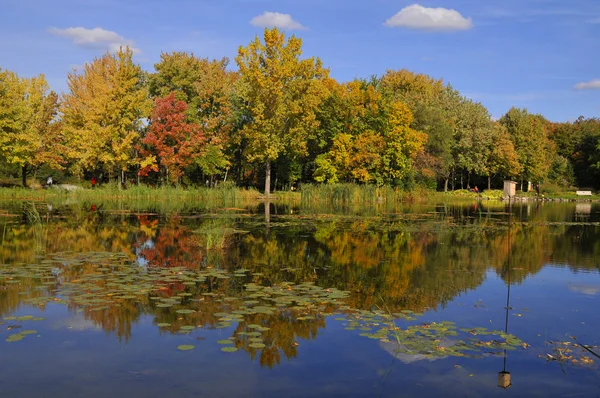 Nordamerikanische Herbstlandschaft Quebec Provinz Kanada — Stockfoto