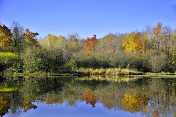 See Mit Wasserspiegelungen Einem Bunten Herbsttag Mit Weißen Wolken Blauen — Stockfoto