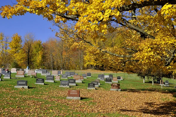 Iron Hill Quebec Canada 2016 Holy Trinity Cemetery Cemetery Found — Stockfoto