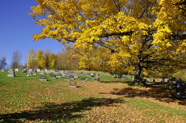 Iron Hill Quebec Canada 2016 Holy Trinity Cemetery Cemetery Found —  Fotos de Stock
