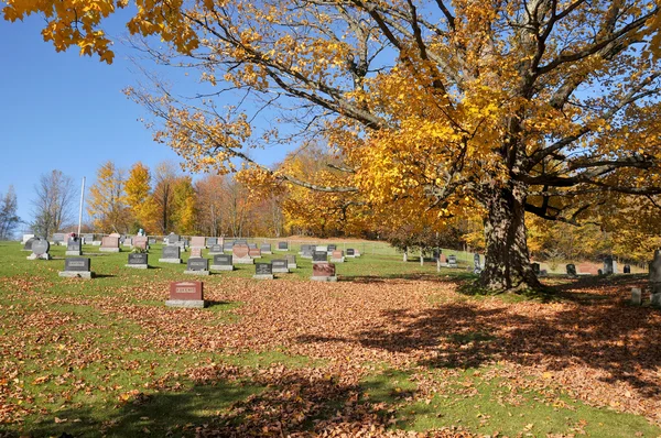 Iron Hill Quebec Canada 2016 Holy Trinity Cemetery Cemetery Found —  Fotos de Stock