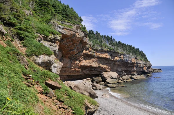 Περιοχή Gaspesie Θαλάσσια Ακτή Γκρεμός Quebec Καναδάς — Φωτογραφία Αρχείου