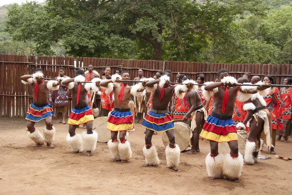 Manzini Swaziland Kasım 2010 Manzini Svaziland Daki Bir Swazi Şovunun — Stok fotoğraf