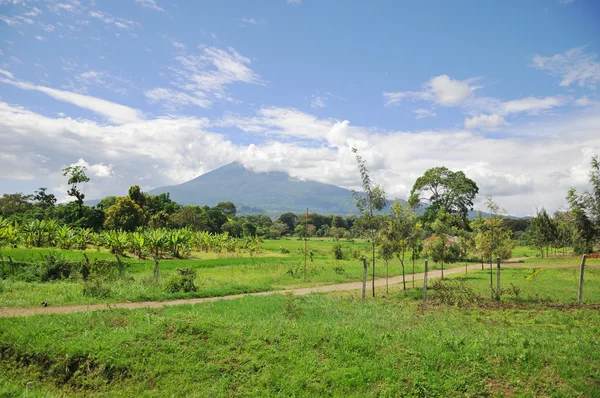 Bellissimo Paesaggio Tanzania Nelle Giornate Sole — Foto Stock