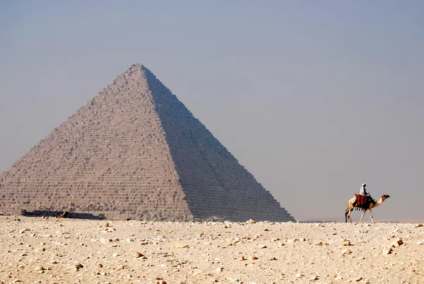 Giza Egypt 11月15 11月にギザピラミッドの前にラクダのライダー15 2009 エジプト 世界最古の観光地 ギザのピラミッドは5000年近く前のものです — ストック写真